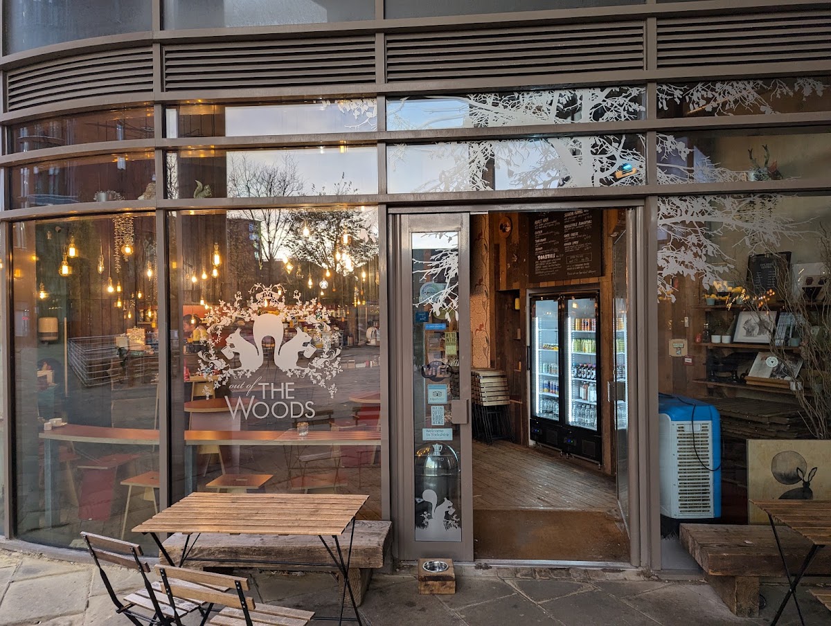 Out of the Woods — Cafe